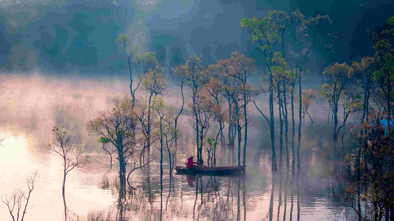 Suối Tía Đà Lạt